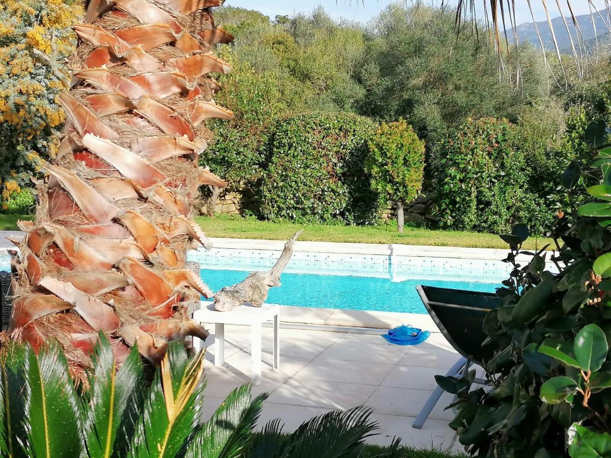 studio 5min plage agosta Albitreccia Exterior foto